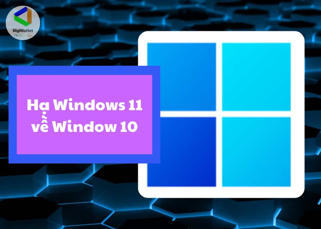 Hướng dẫn hạ cấp Windows 11